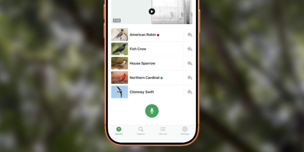 merlin id bird app iphone OP8HQV